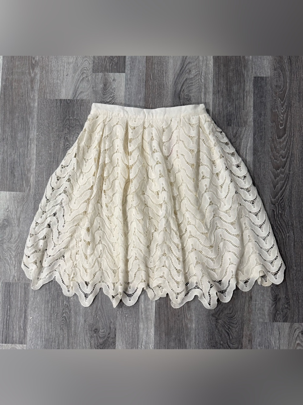 HYPR Women’s Ivory Solid Lace A-Line Coquette Skirt, Lined, Scalloped Hem, Zip